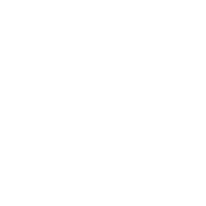 White Plane Icon